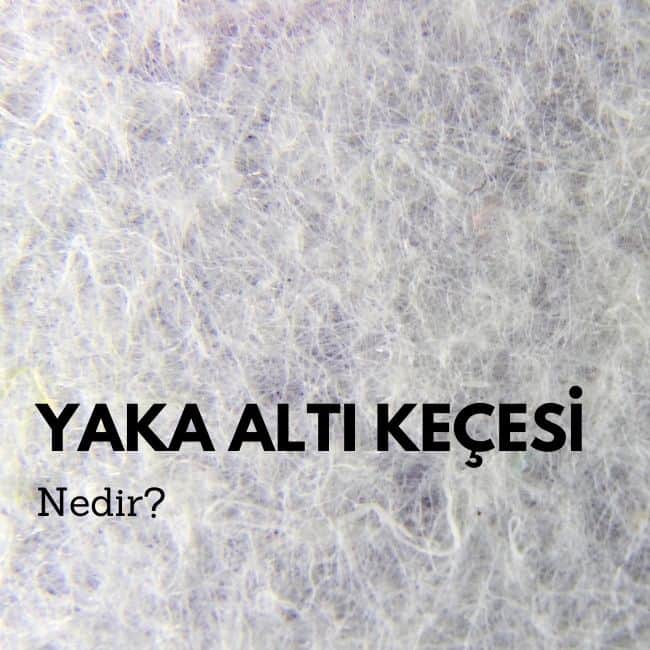 yaka altı keçesi